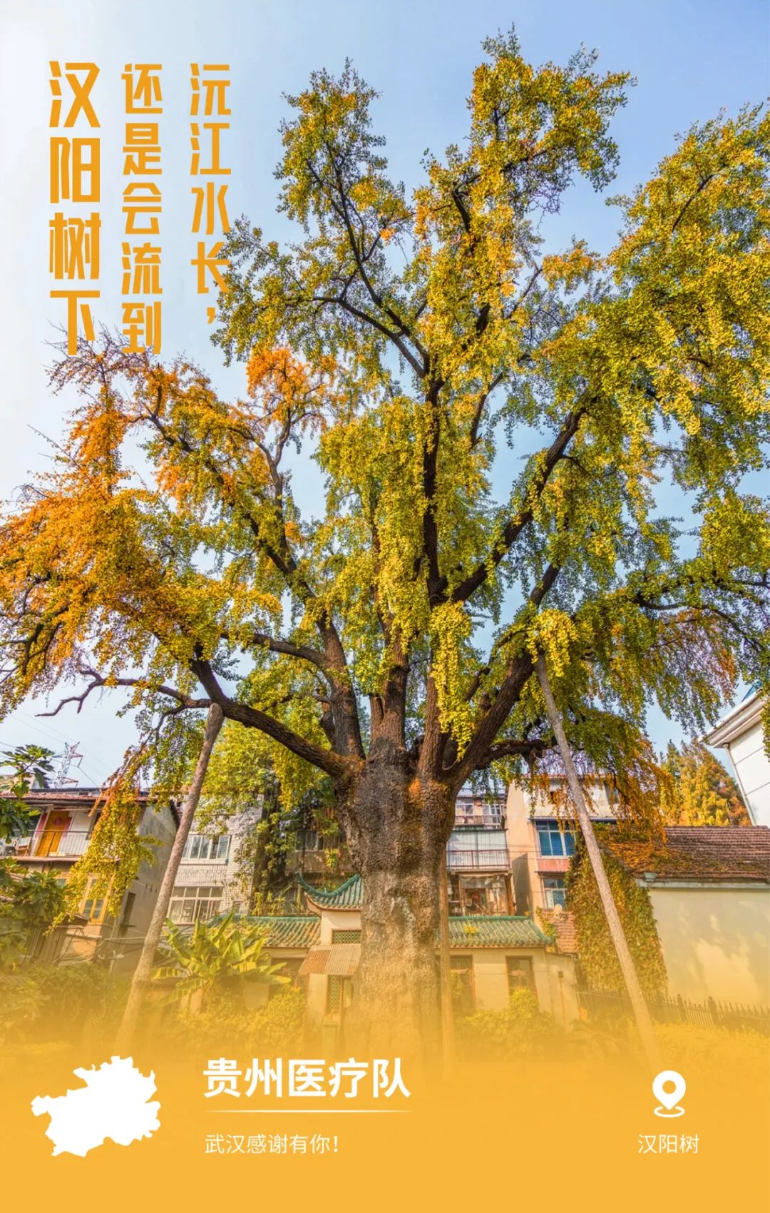 一頓暴哭！武漢用32張海報(bào)，對(duì)32個(gè)支援地區(qū)說謝謝
