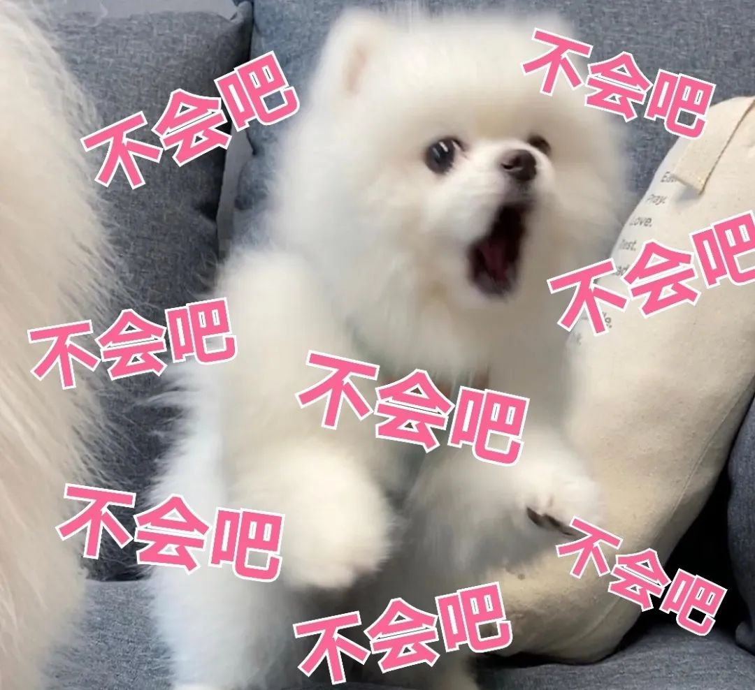 全網(wǎng)十大最欠揍流行語，沒一句我愛聽的