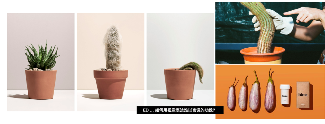 透過(guò)歐萊雅品牌美學(xué)，學(xué)習(xí)如何打造創(chuàng)意資產(chǎn)